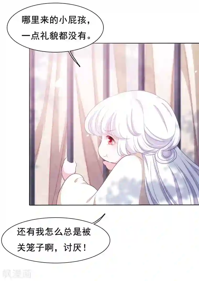 穿回古代做国宝第20话 白发的猫妖？！