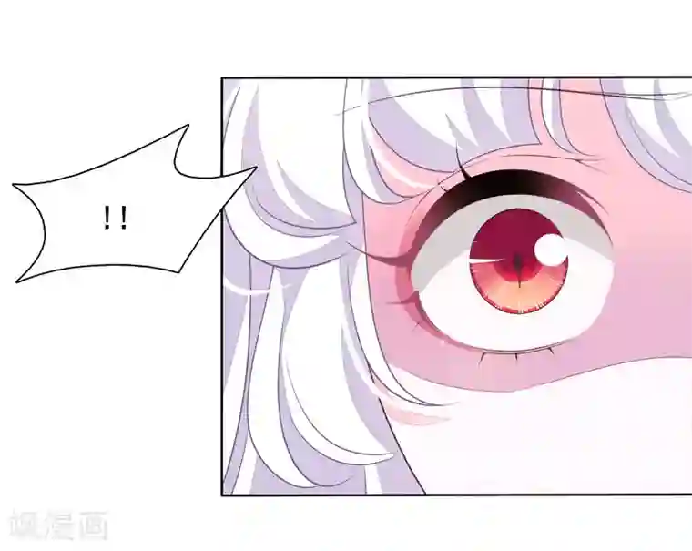 穿回古代做国宝第20话 白发的猫妖？！