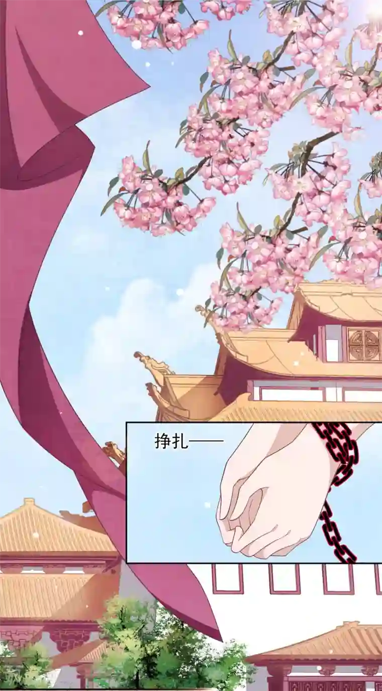 穿回古代做国宝第32话 已经没有回头路了