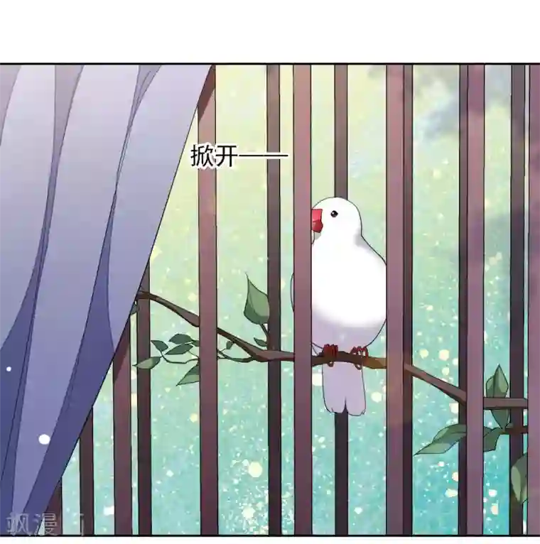 穿回古代做国宝第35话 笼中鸟1