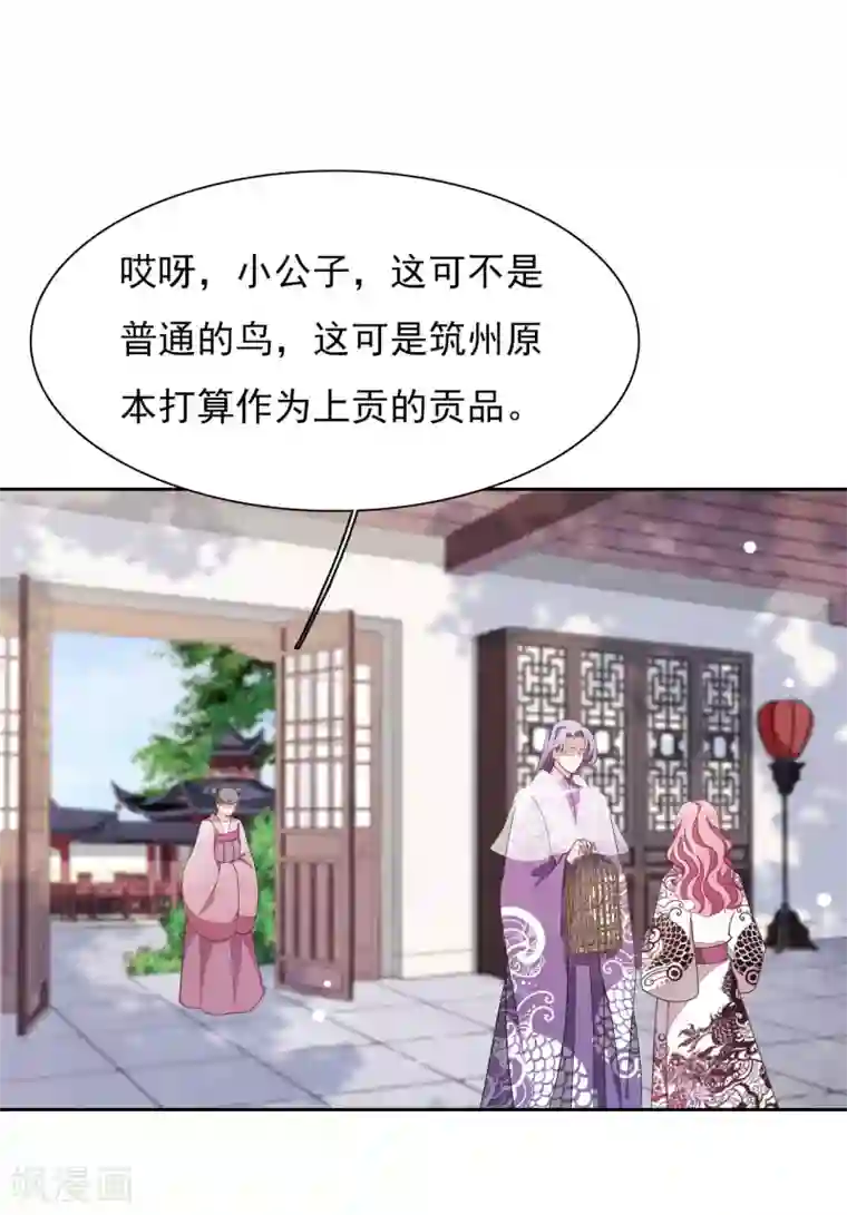 穿回古代做国宝第35话 笼中鸟1