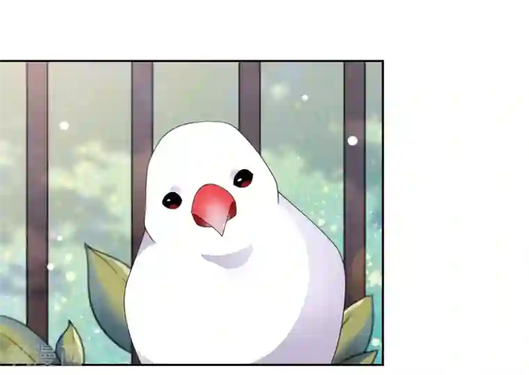 穿回古代做国宝第35话 笼中鸟1