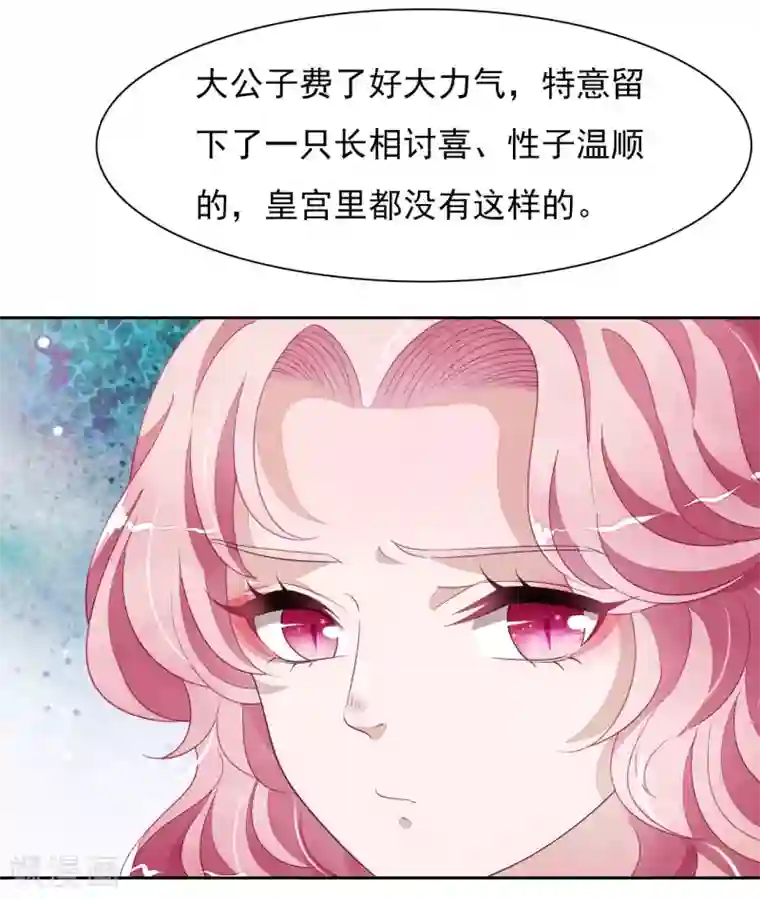 穿回古代做国宝第35话 笼中鸟1