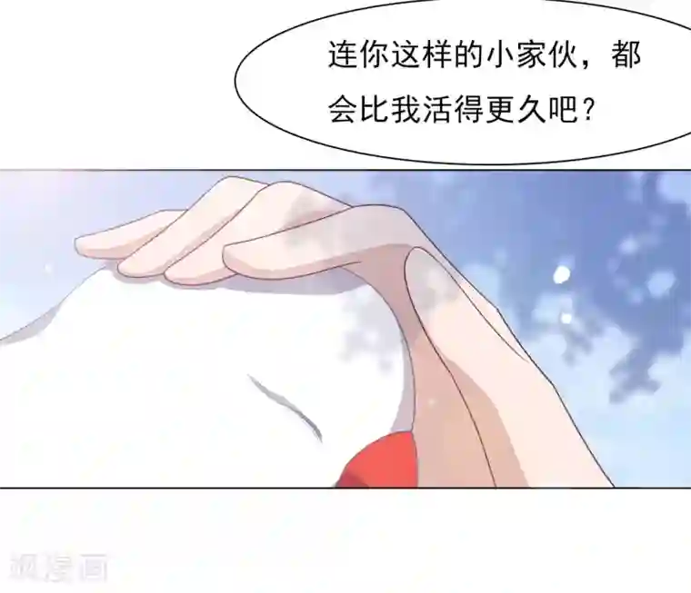 穿回古代做国宝第36话 笼中鸟2