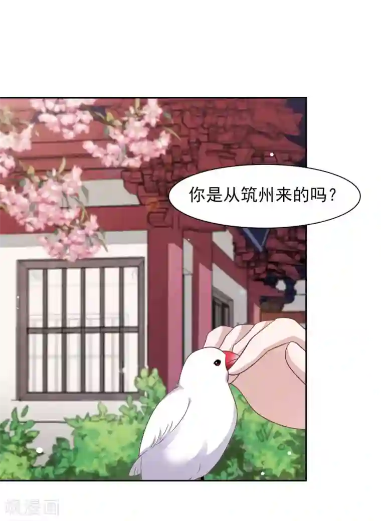 穿回古代做国宝第36话 笼中鸟2