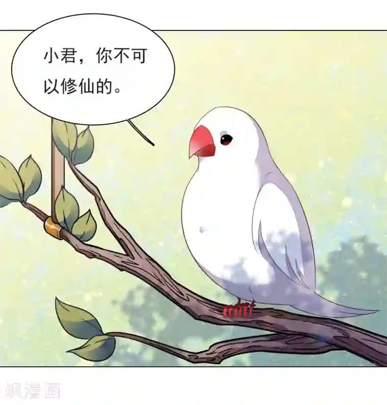 穿回古代做国宝第37话 朋友啊……