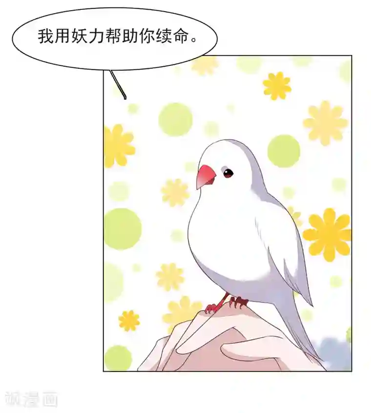 穿回古代做国宝第37话 朋友啊……