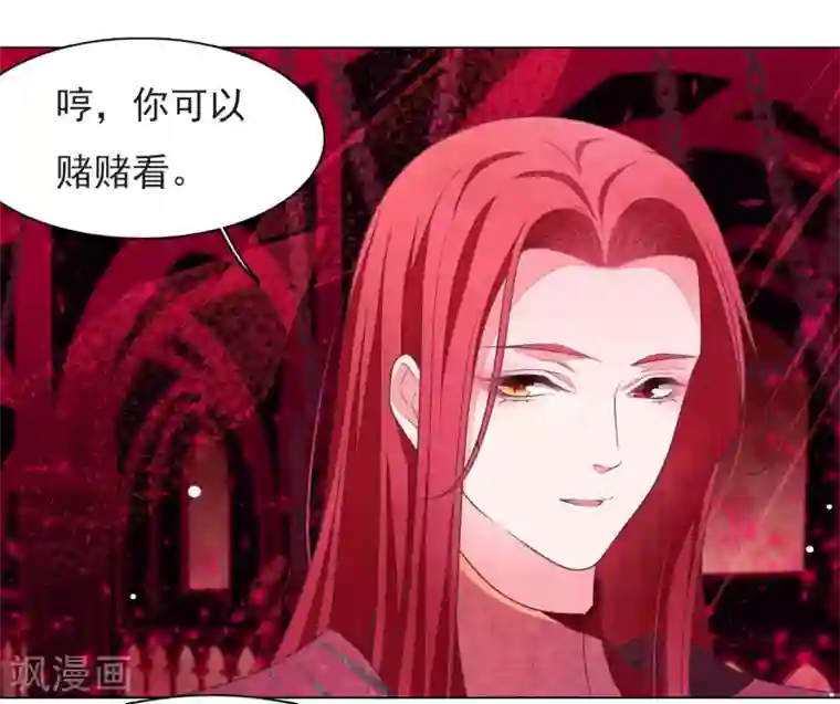 穿回古代做国宝第39话 选择