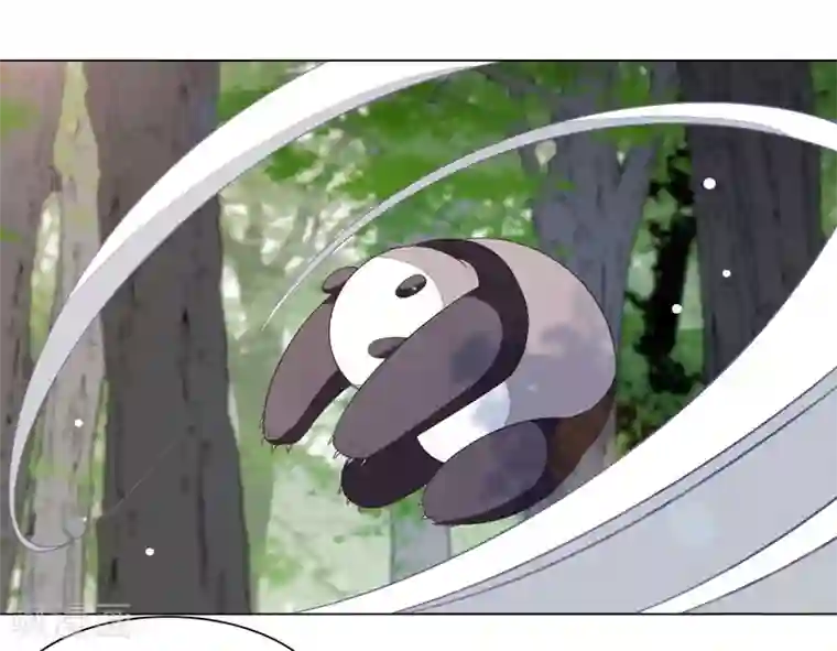 穿回古代做国宝第46话 是……熊精啊！