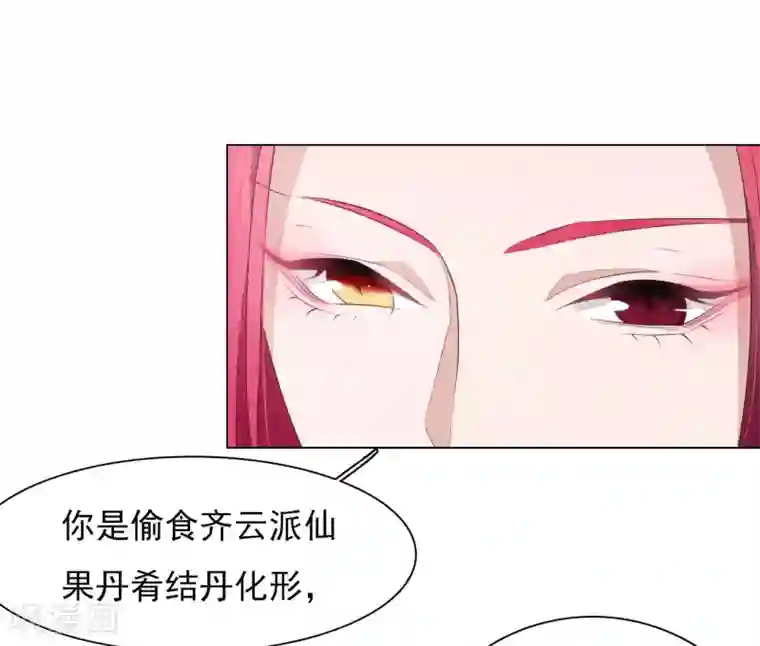 穿回古代做国宝第51话 小瑜的选择