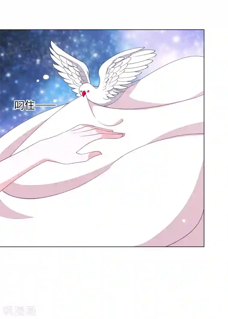 穿回古代做国宝第67话 真的回不去了吗？