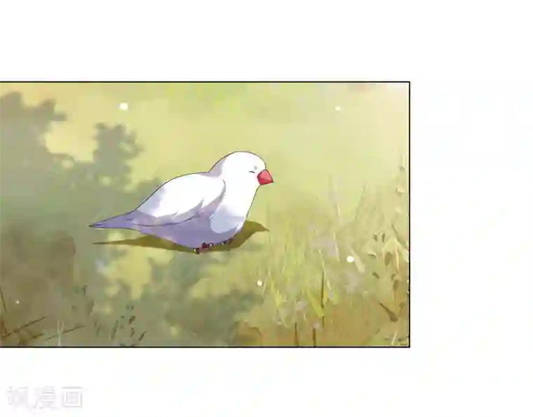 穿回古代做国宝第75话 那是……妖界？