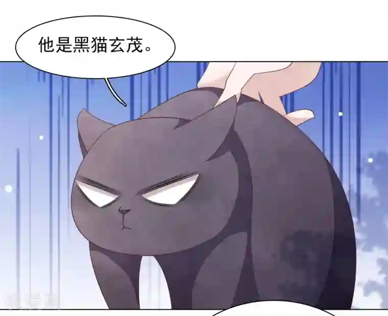 穿回古代做国宝第76话 合作