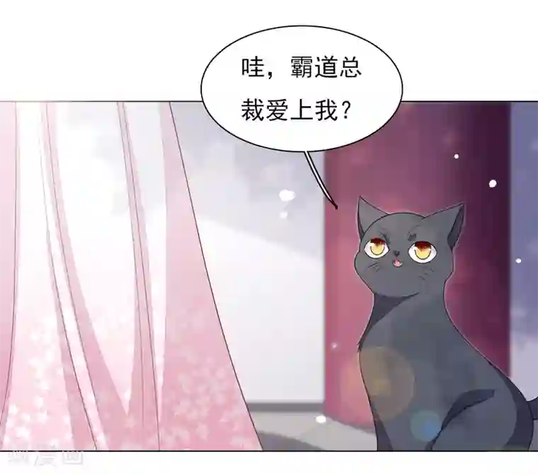 穿回古代做国宝第82话 欢迎来到妖界