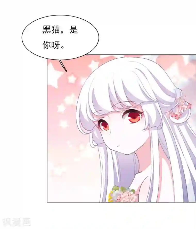 穿回古代做国宝第82话 欢迎来到妖界