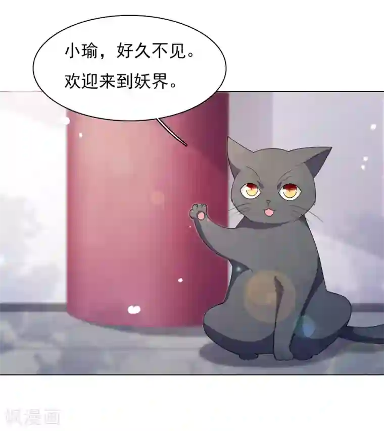 穿回古代做国宝第82话 欢迎来到妖界