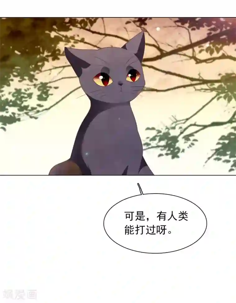 男人裸着下半身露蛋第83话 打不过