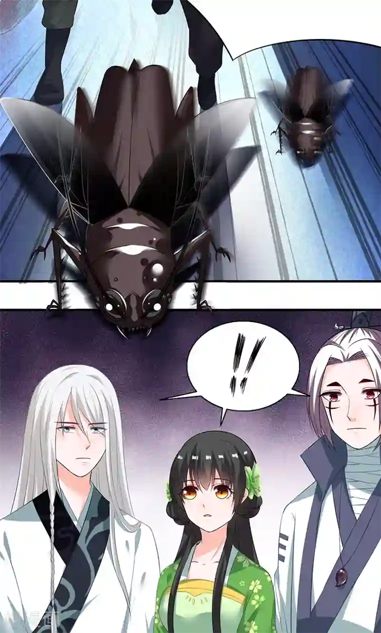 计时恋爱第10话 解蛊之法