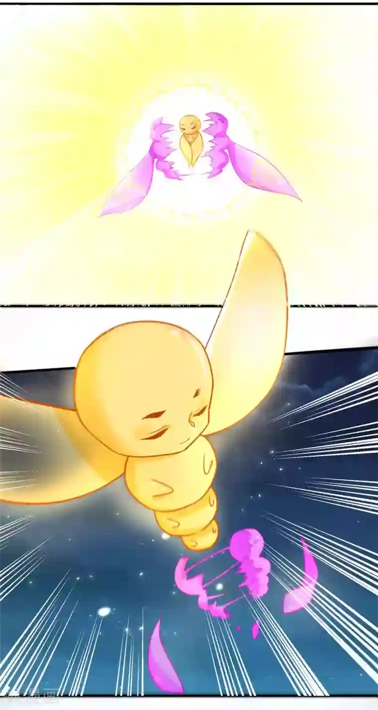计时恋爱第119话 老狐狸