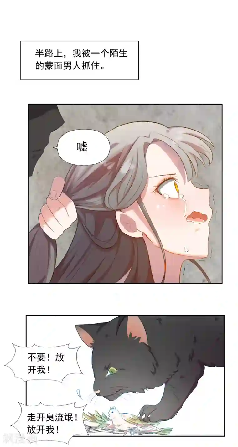 宠爱难逃:偏执顾少高冷妻第2话