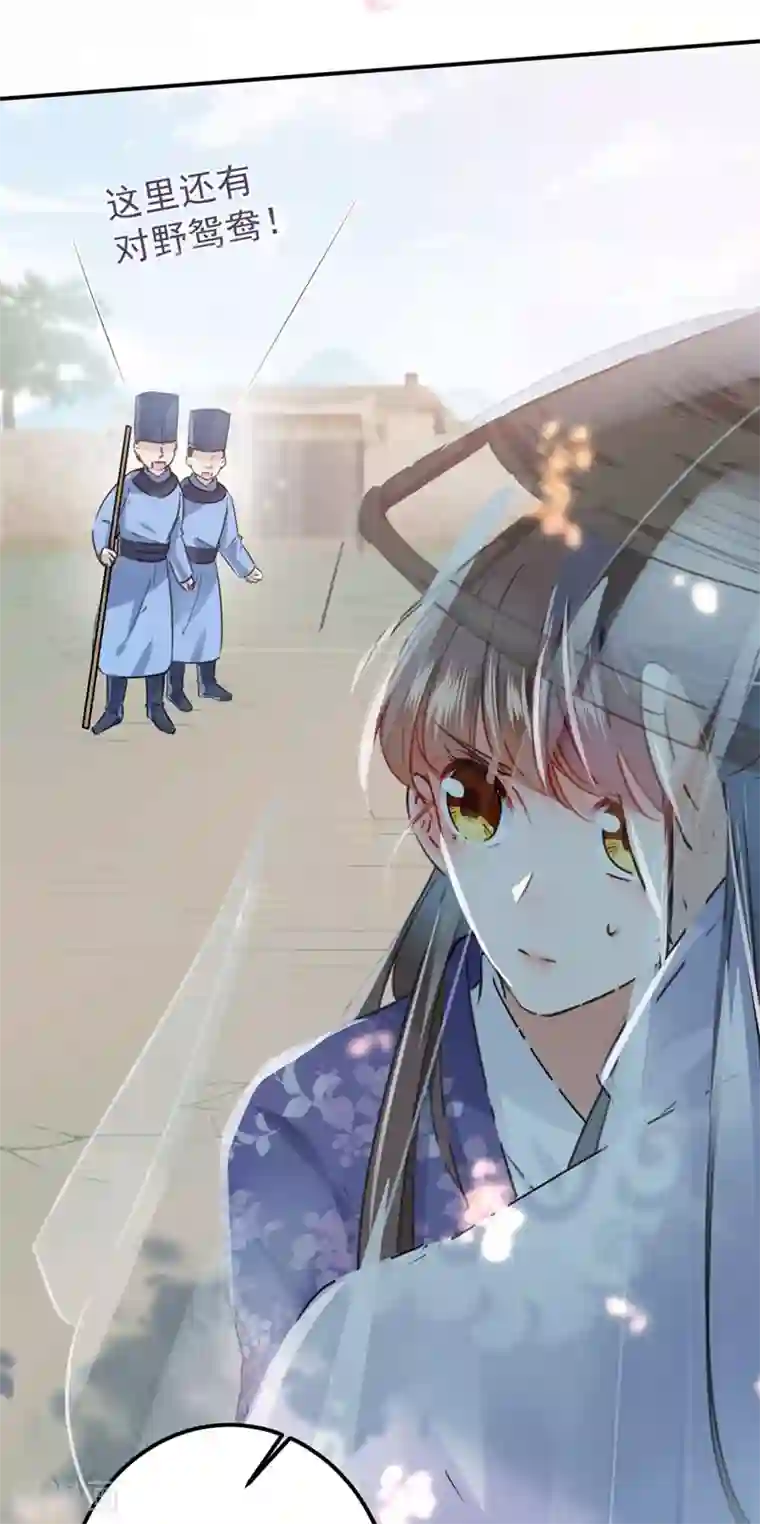 3d寝取られても媚薬编240p第100话 激烈的野鸳鸯