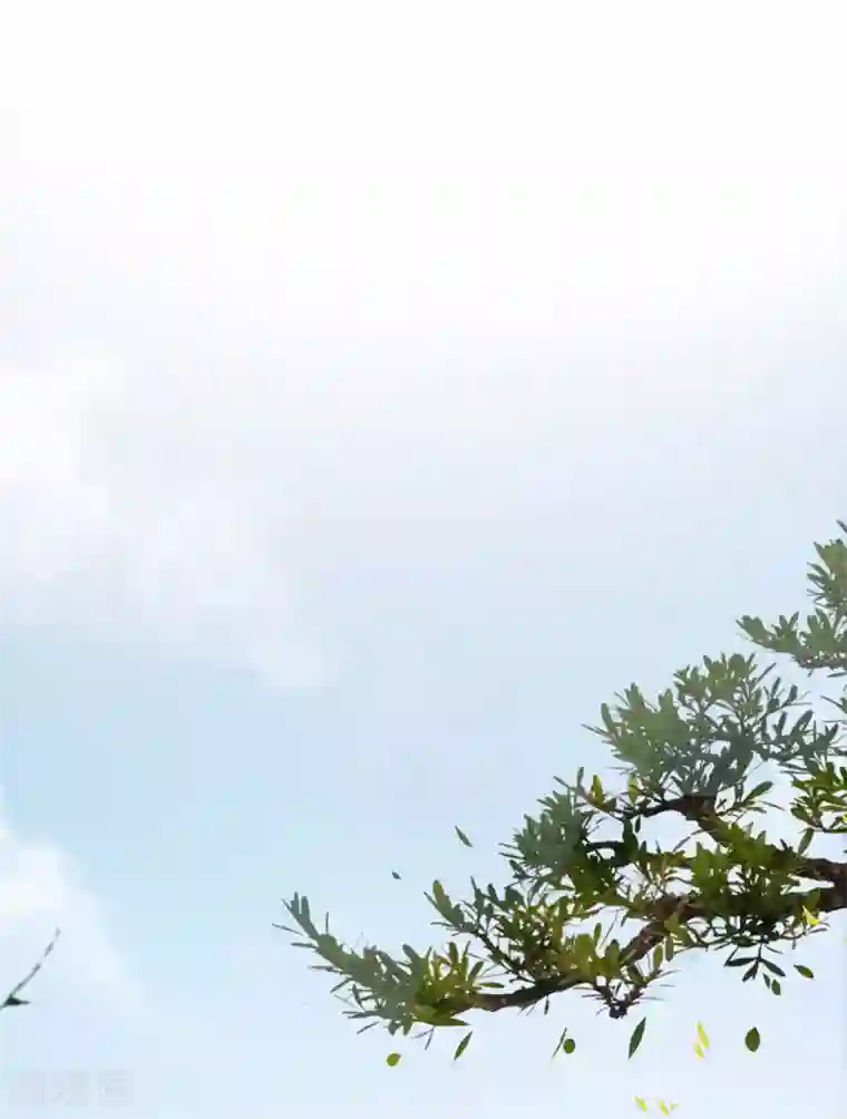 王爷你好帅第111话 他的温柔照顾