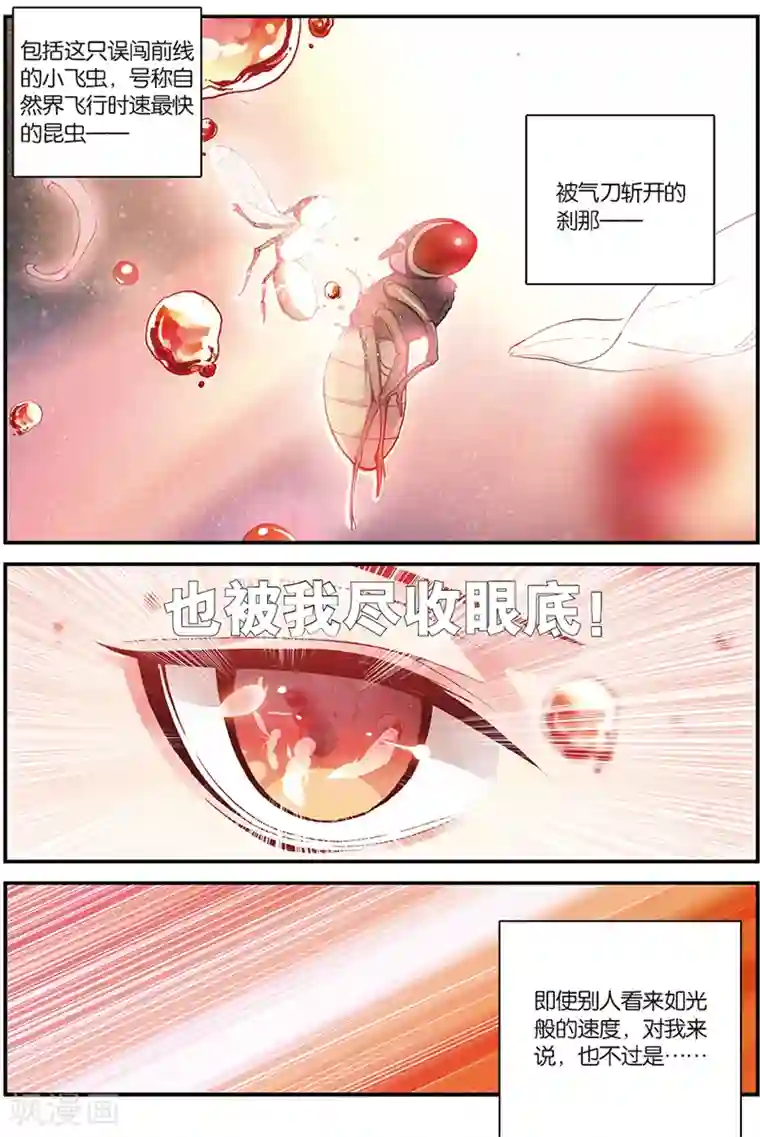 圣王第5话 苍鹰的悔恨上