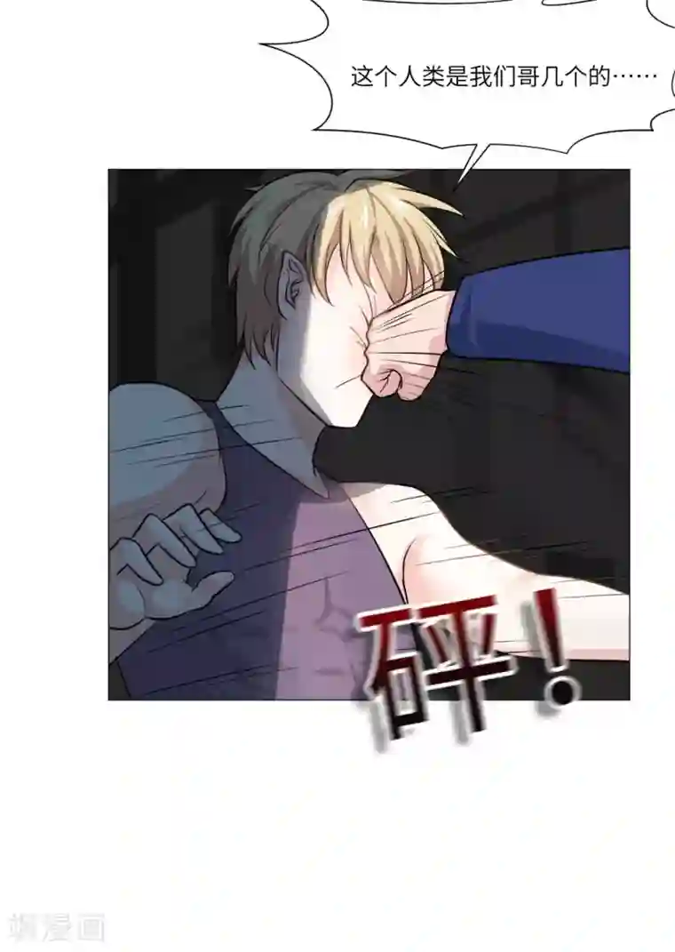 明星是血族第26话