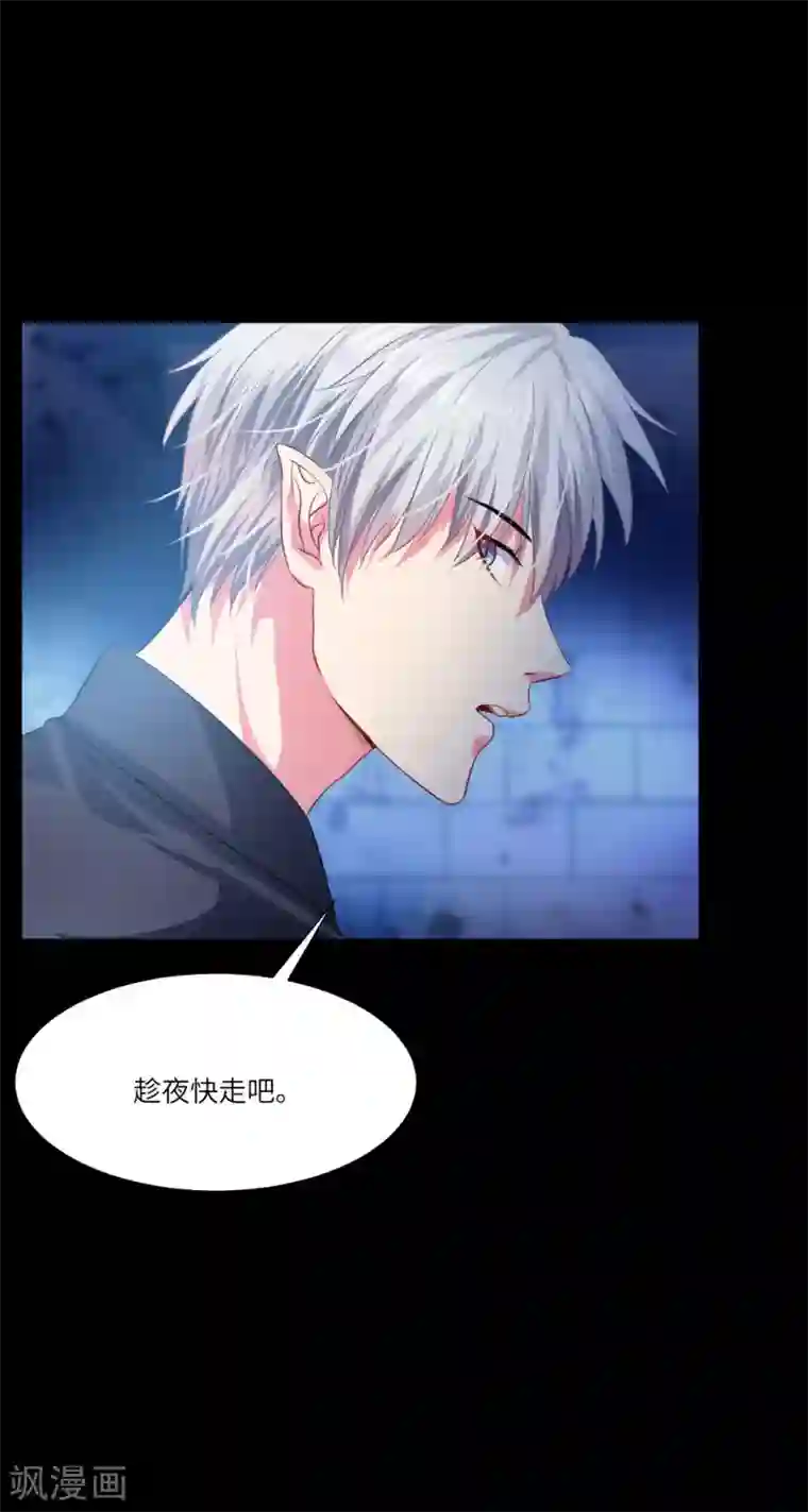 明星是血族第40话