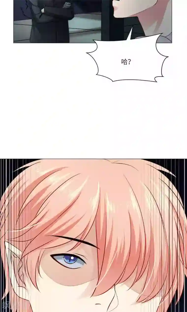 明星是血族第61话