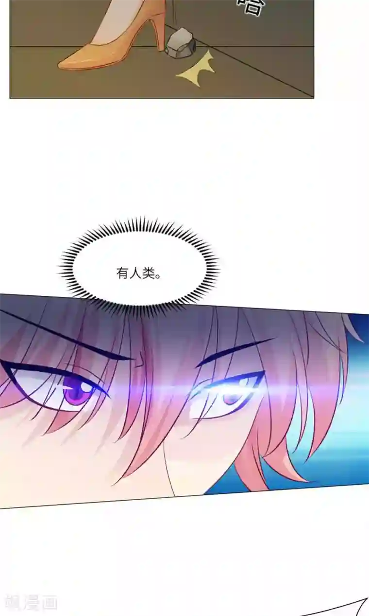 明星是血族第61话