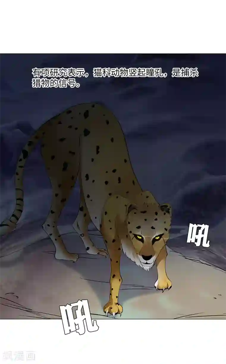 明星是血族第101话 我抢了白夜的女人