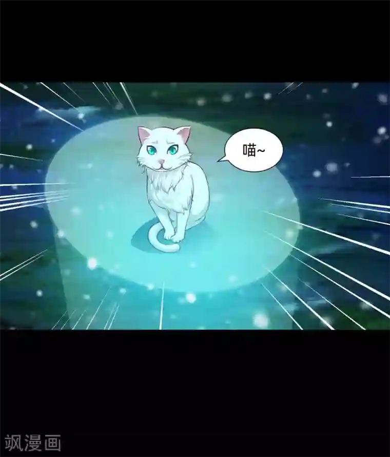 明星是血族第129话 捡只血族带回家