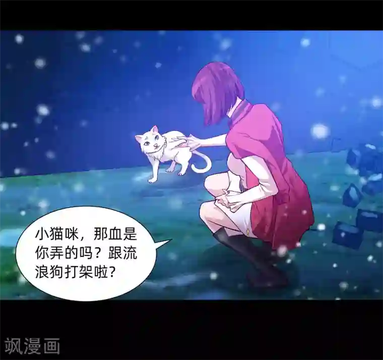 明星是血族第129话 捡只血族带回家