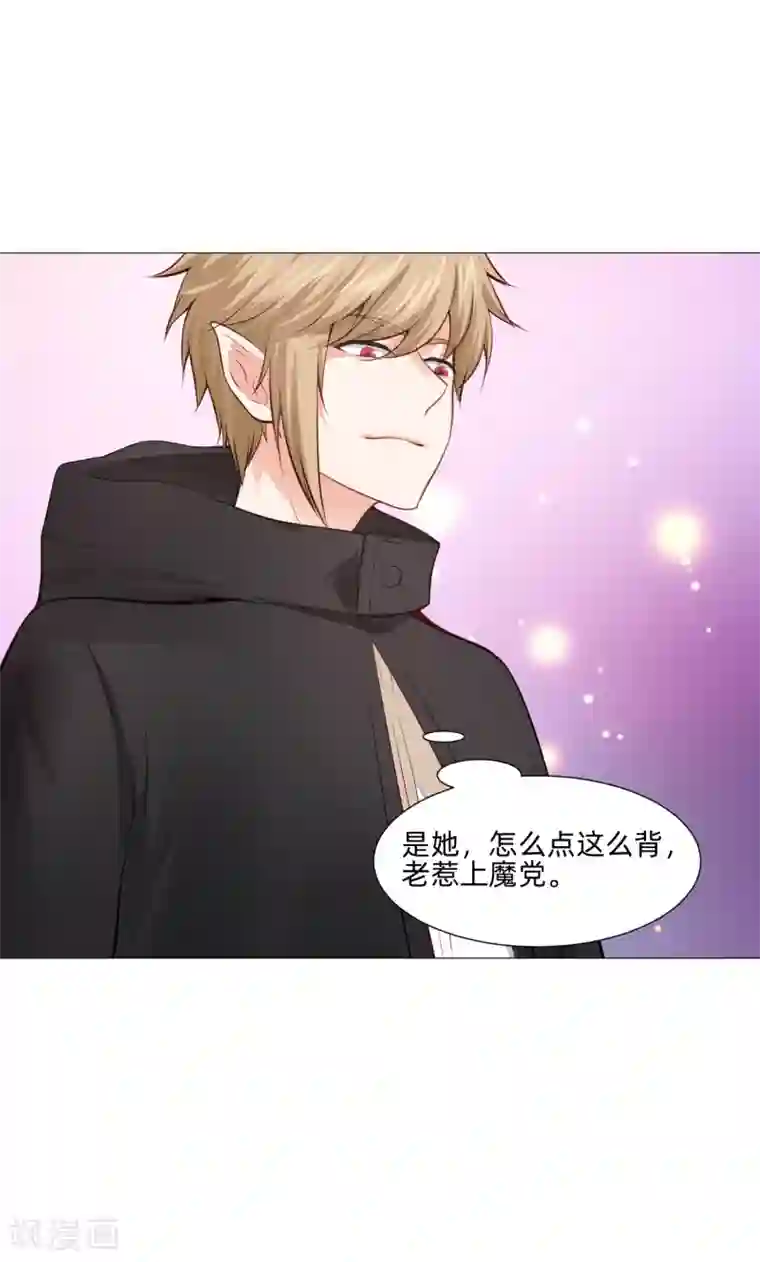 明星是血族第160话 动我女人只好干掉你