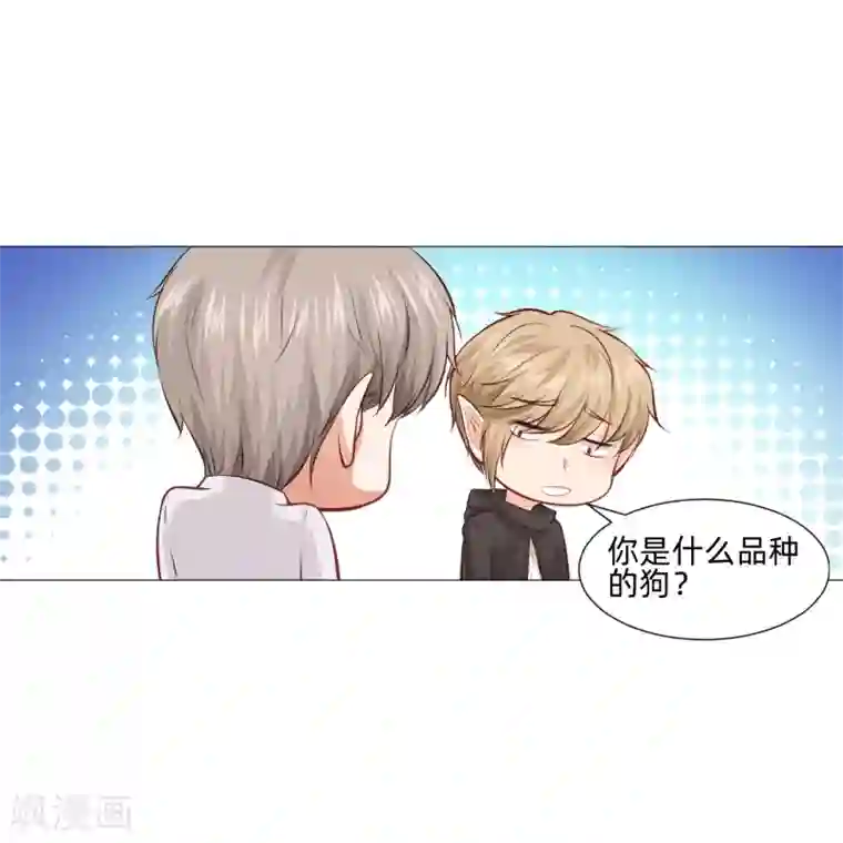 明星是血族第160话 动我女人只好干掉你