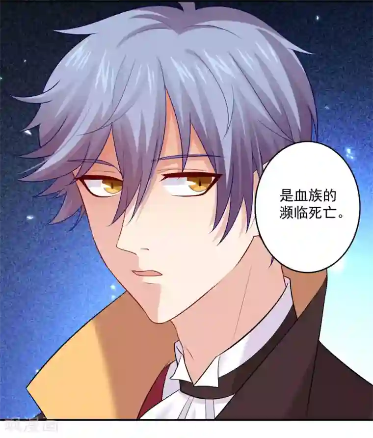 明星是血族第171话 黑色荆棘之花