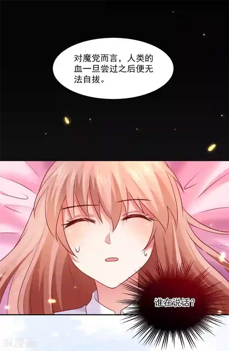 明星是血族第185话 血族的魔女