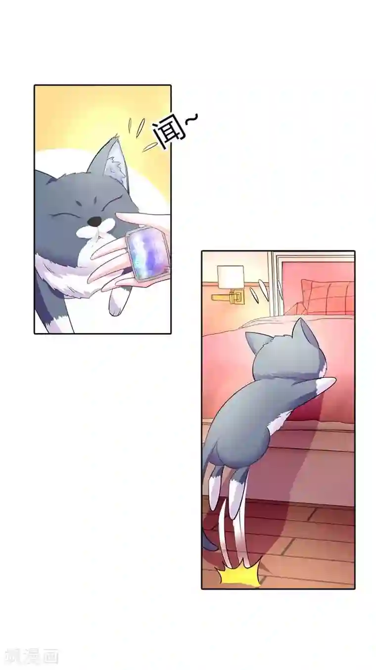 我管漂亮你管帅第36话 流星雨项链