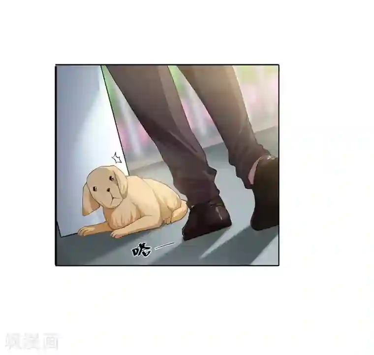 我管漂亮你管帅第二部第3话 你是猪吗？