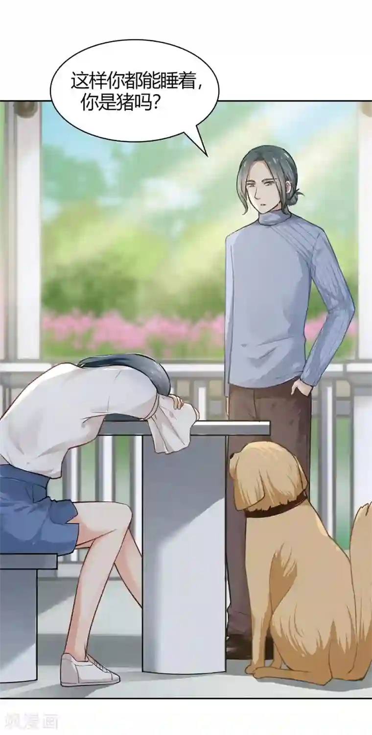 我管漂亮你管帅第二部第3话 你是猪吗？