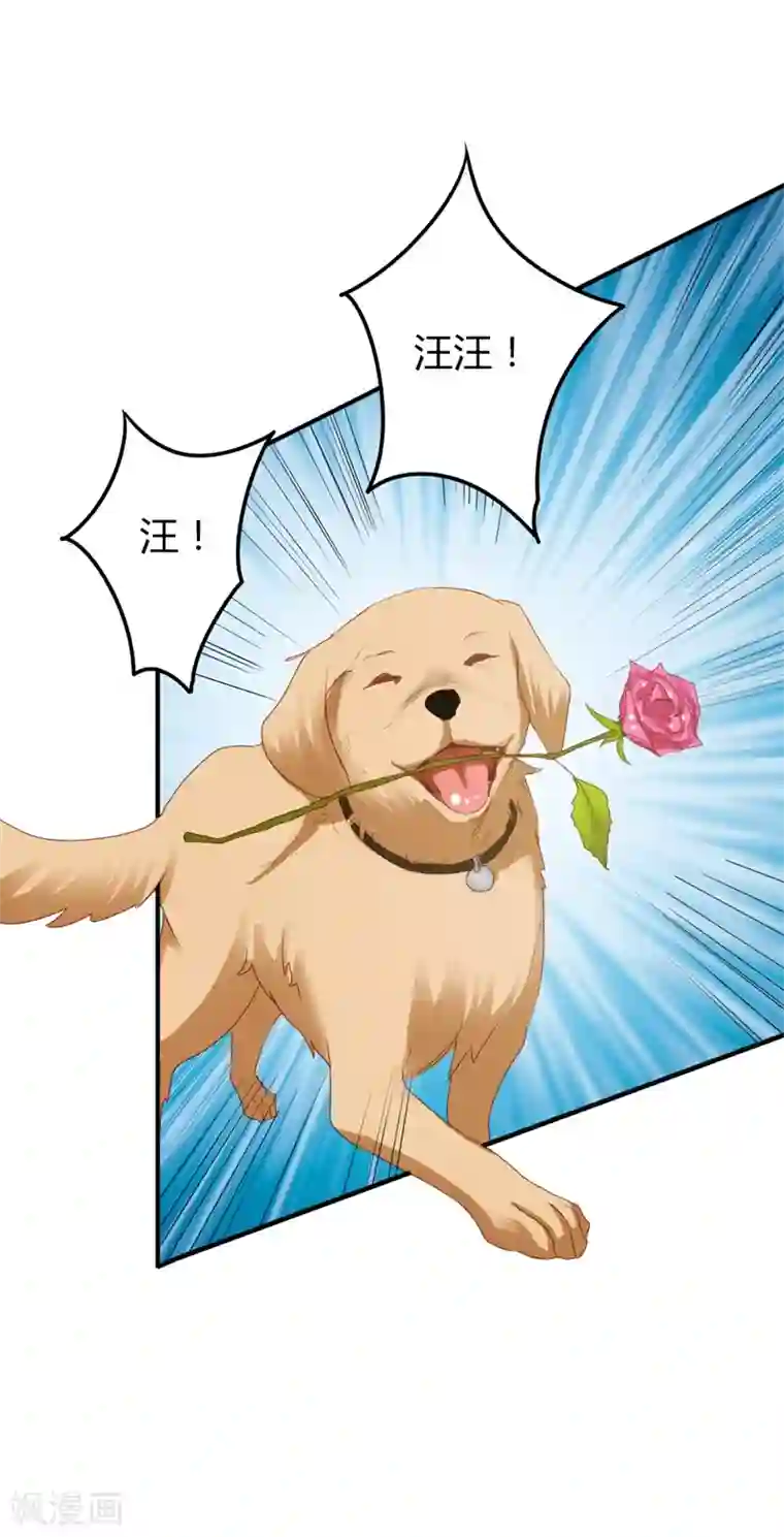 我管漂亮你管帅第二部第19话 给我一次机会吧