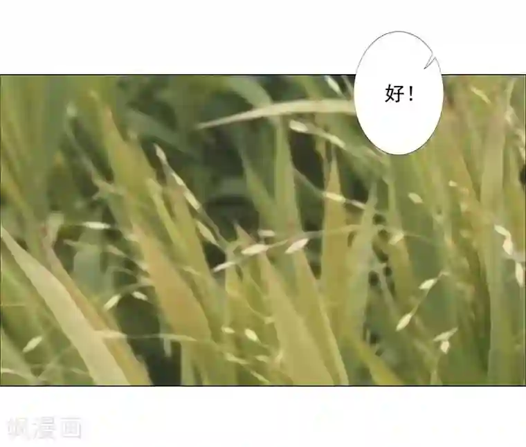 倾国女王第42话2 金蝉脱壳