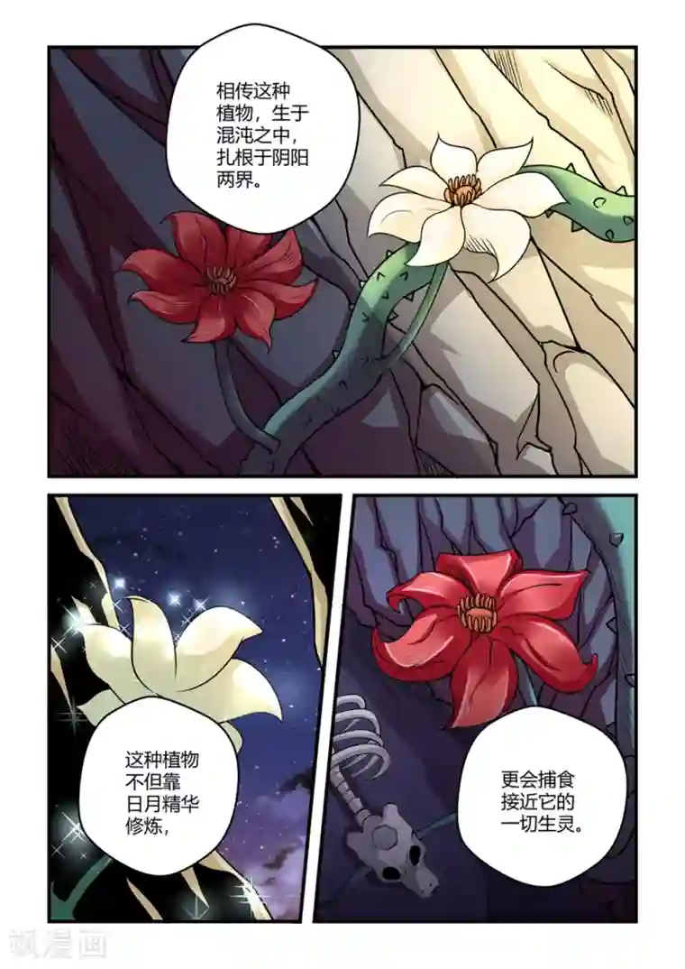 通灵契约第44话