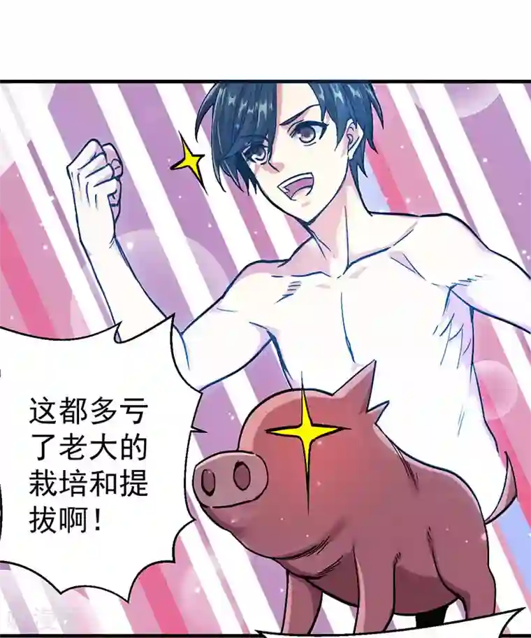 剑舞第3话 狩猎野猪任务