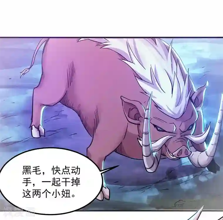 剑舞第4话 大笨猪，轮到你了！