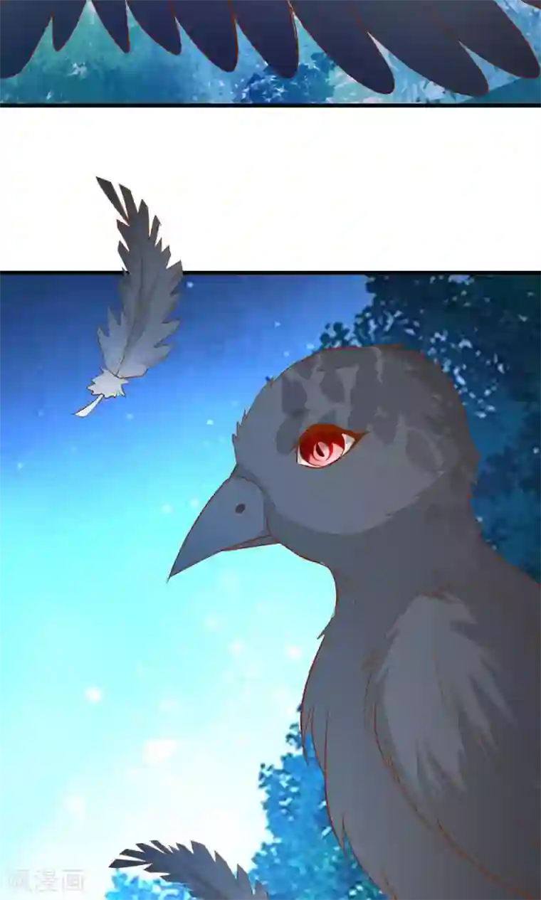 月夜香微来第37话