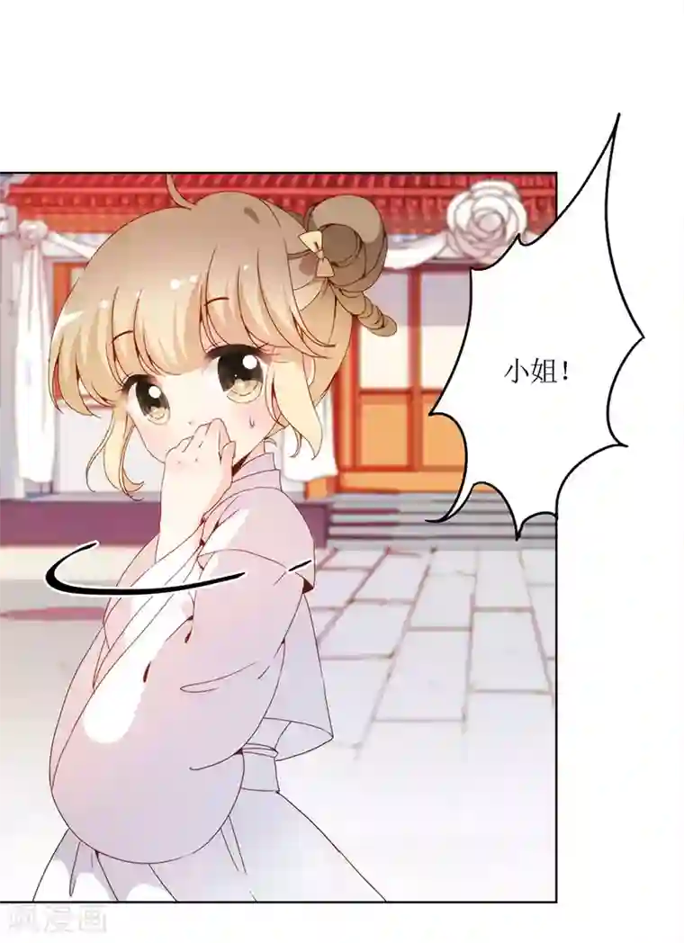 皇后娘娘的五毛特效第25话