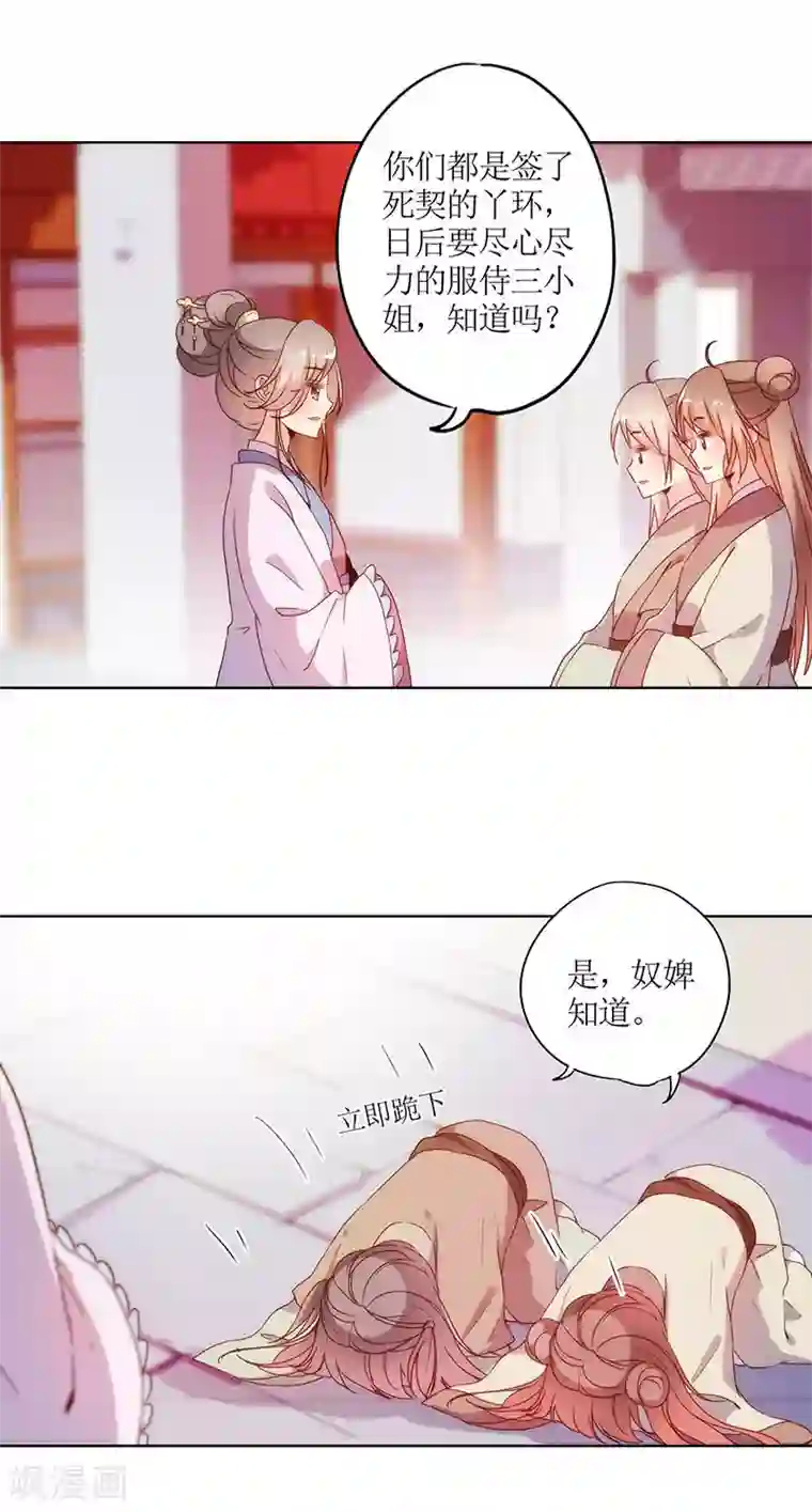 皇后娘娘的五毛特效第28话