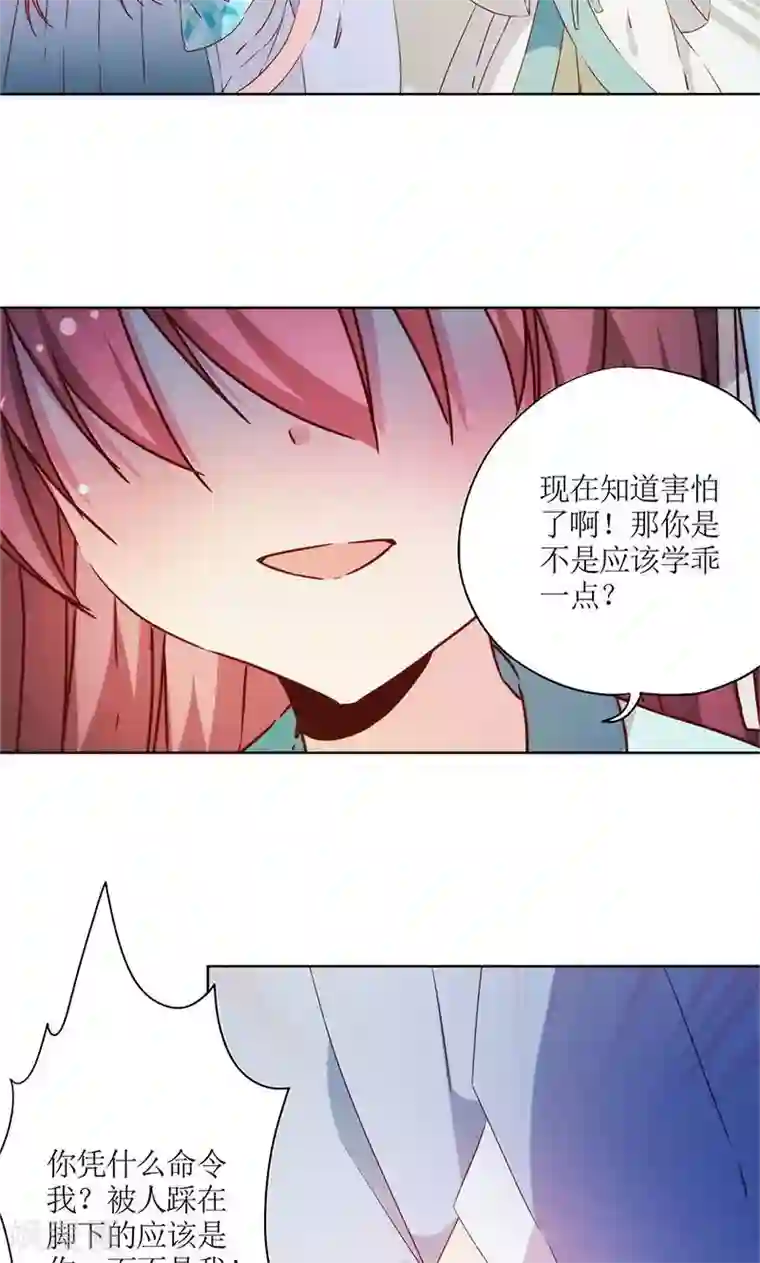 皇后娘娘的五毛特效第77话